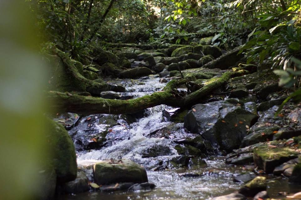 Pousada Bergen Huetten Rio Fortuna Екстериор снимка